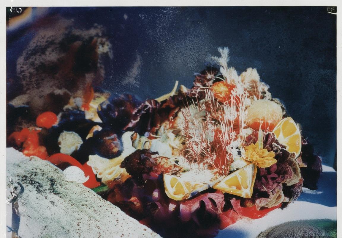 巴西葡萄牙足球对决：激情岁月与传奇篇章回顾(图1)